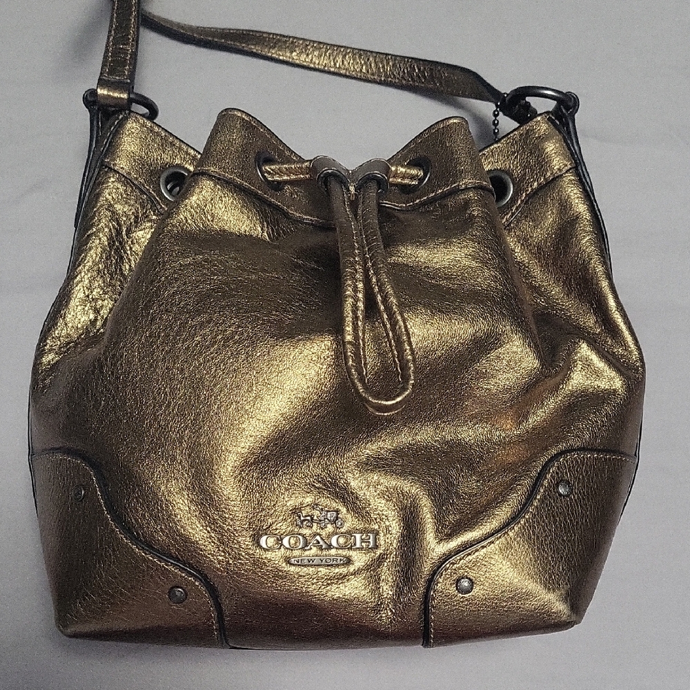 Coach Baby Mickie Bucket Crossbody Bag